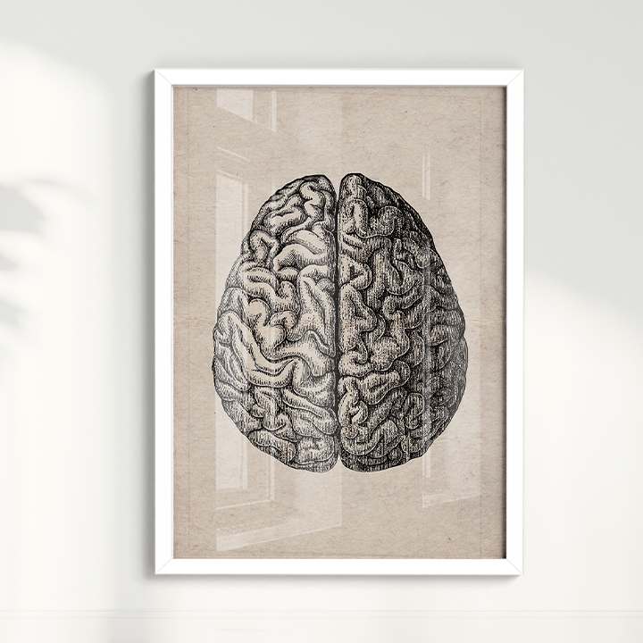 Brain Vintage