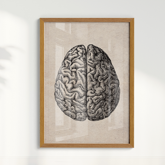 Quadro Brain Vintage