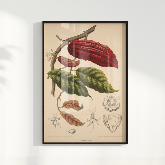 Quadro Cacau Vintage