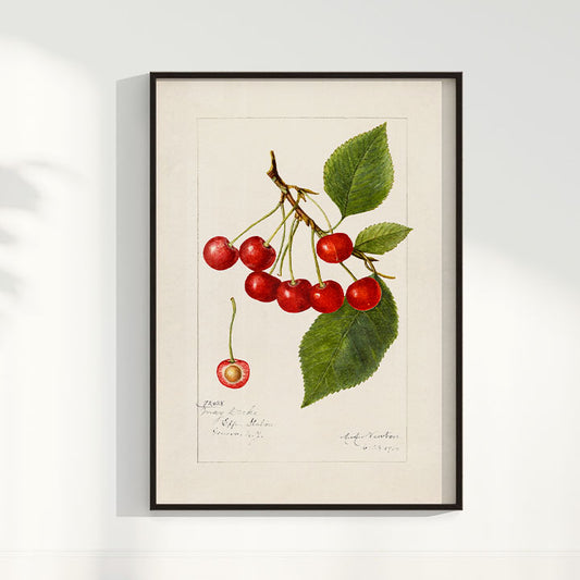 Quadro Cerejas Vintage