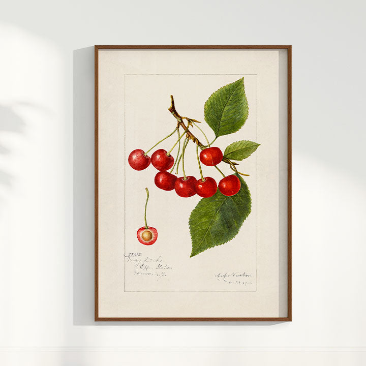 Quadro Cerejas Vintage