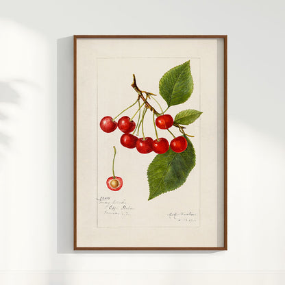 Quadro Cerejas Vintage