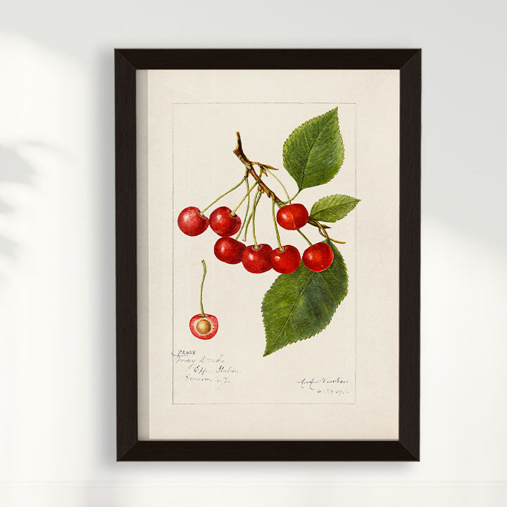 Quadro Cerejas Vintage