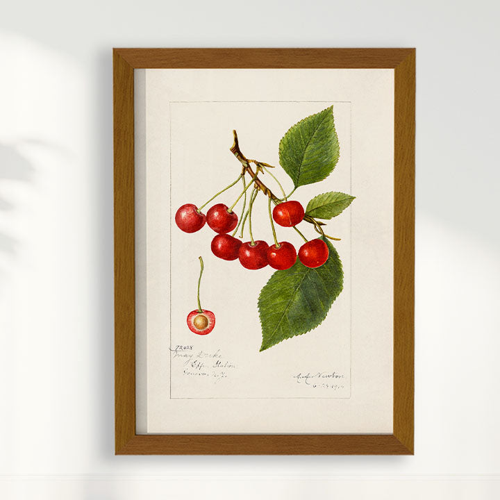 Quadro Cerejas Vintage
