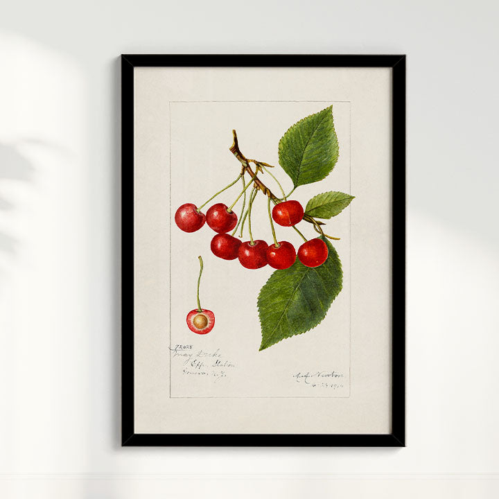 Quadro Cerejas Vintage