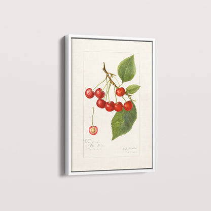 Quadro Cerejas Vintage