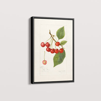 Quadro Cerejas Vintage