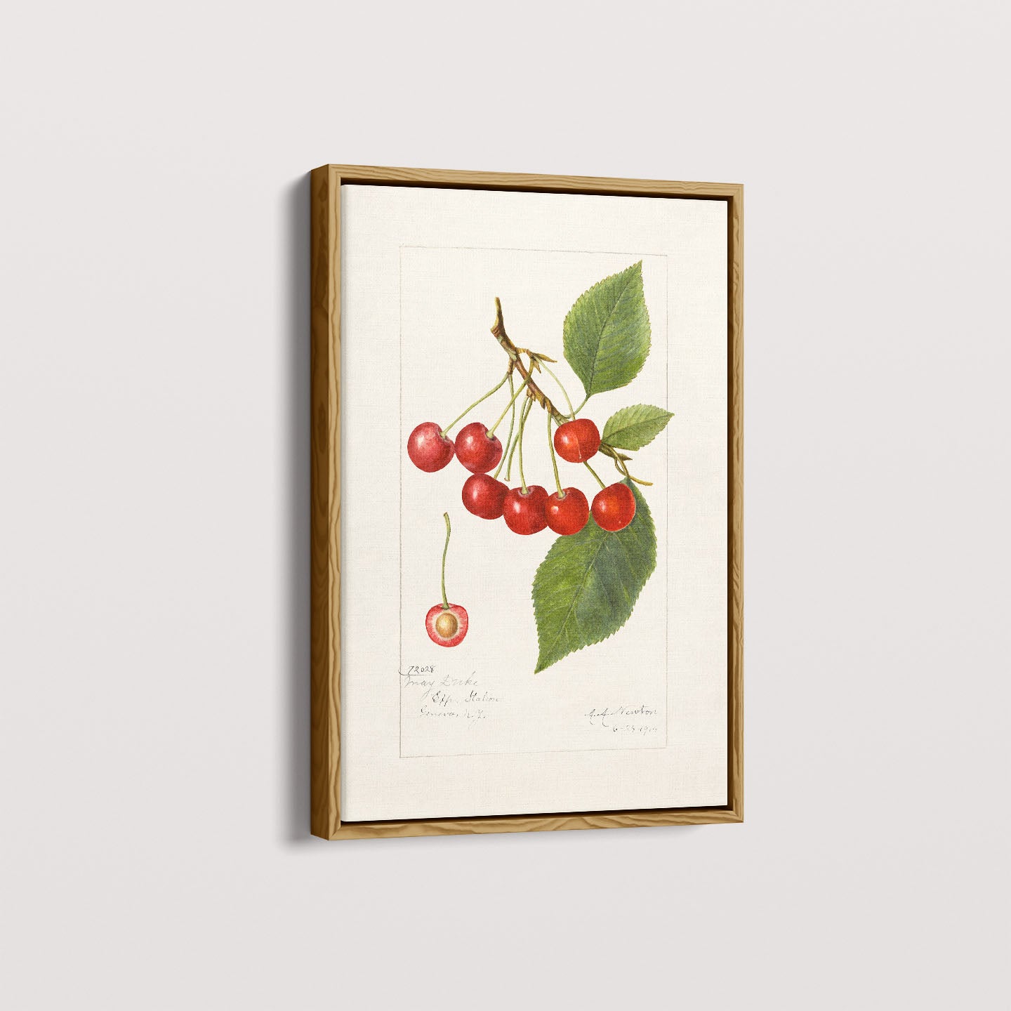 Quadro Cerejas Vintage
