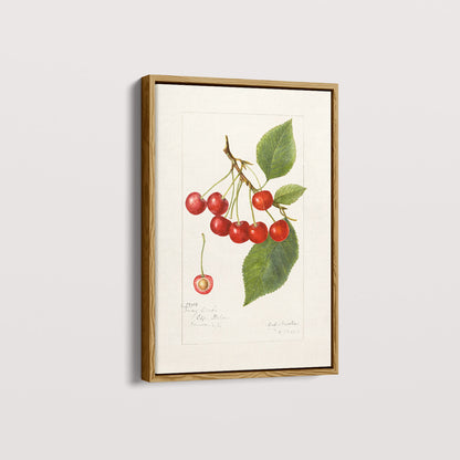 Quadro Cerejas Vintage