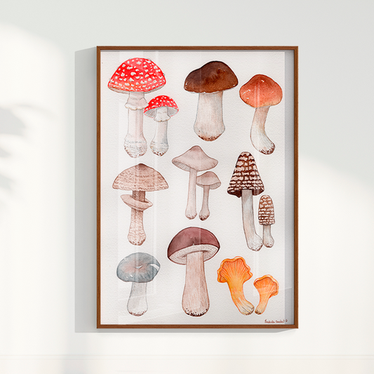 Quadro Desenhos Cogumelos por Isabela Almeida