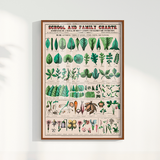 Quadro Botânico Vintage de Folhas e Flores