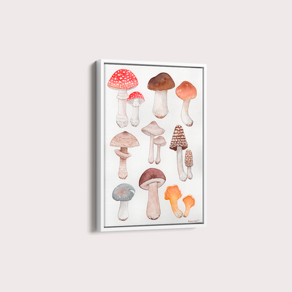 Cogumelos por Isabela Almeida