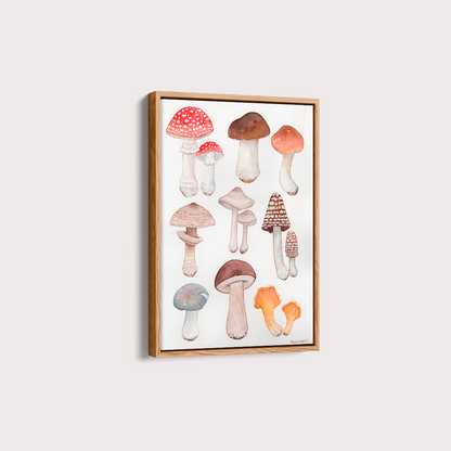 Cogumelos por Isabela Almeida