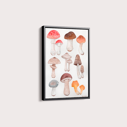 Cogumelos por Isabela Almeida