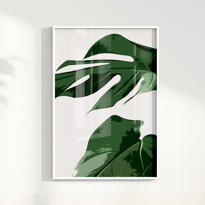 Quadro Costela de Adão