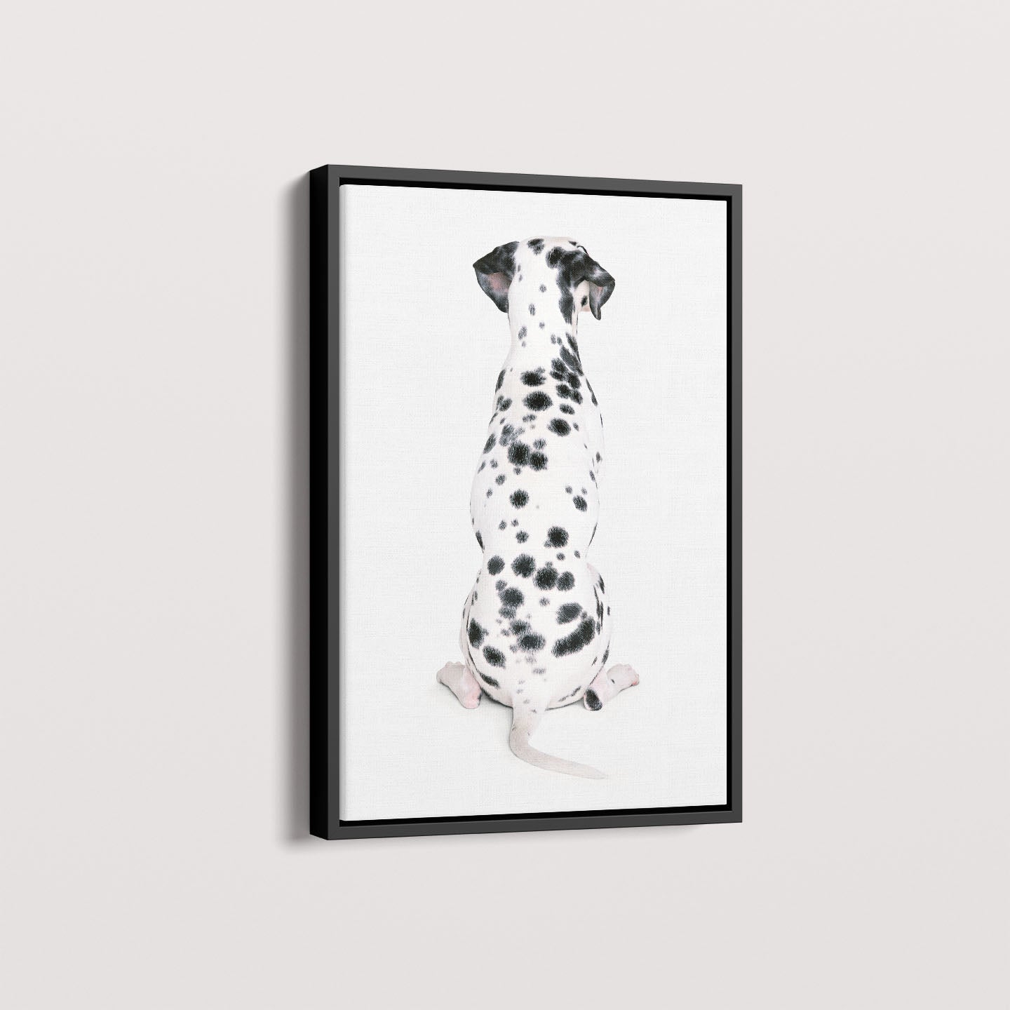 Quadro Dálmata