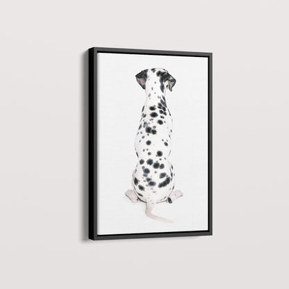 Quadro Dálmata