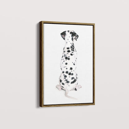 Quadro Dálmata