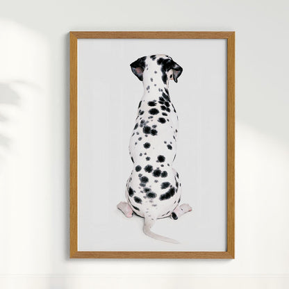 Quadro Dálmata