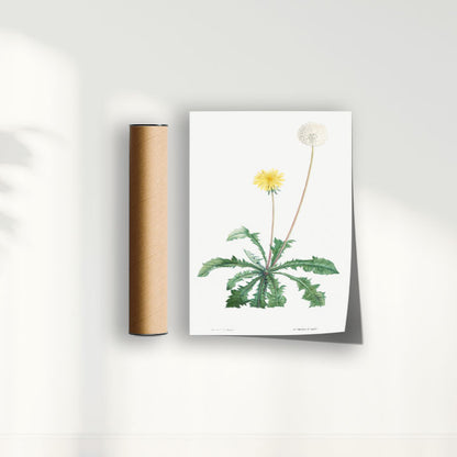 Quadro Floral Vintage - Dente de leão