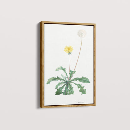 Quadro Floral Vintage - Dente de leão
