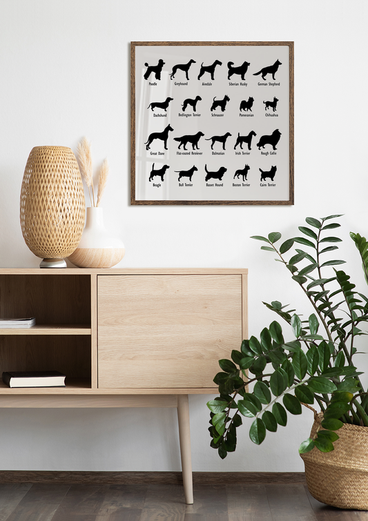 Dogs