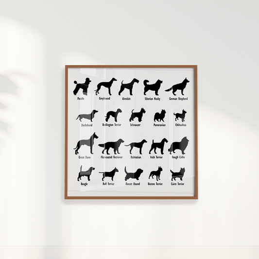 Quadro Dogs