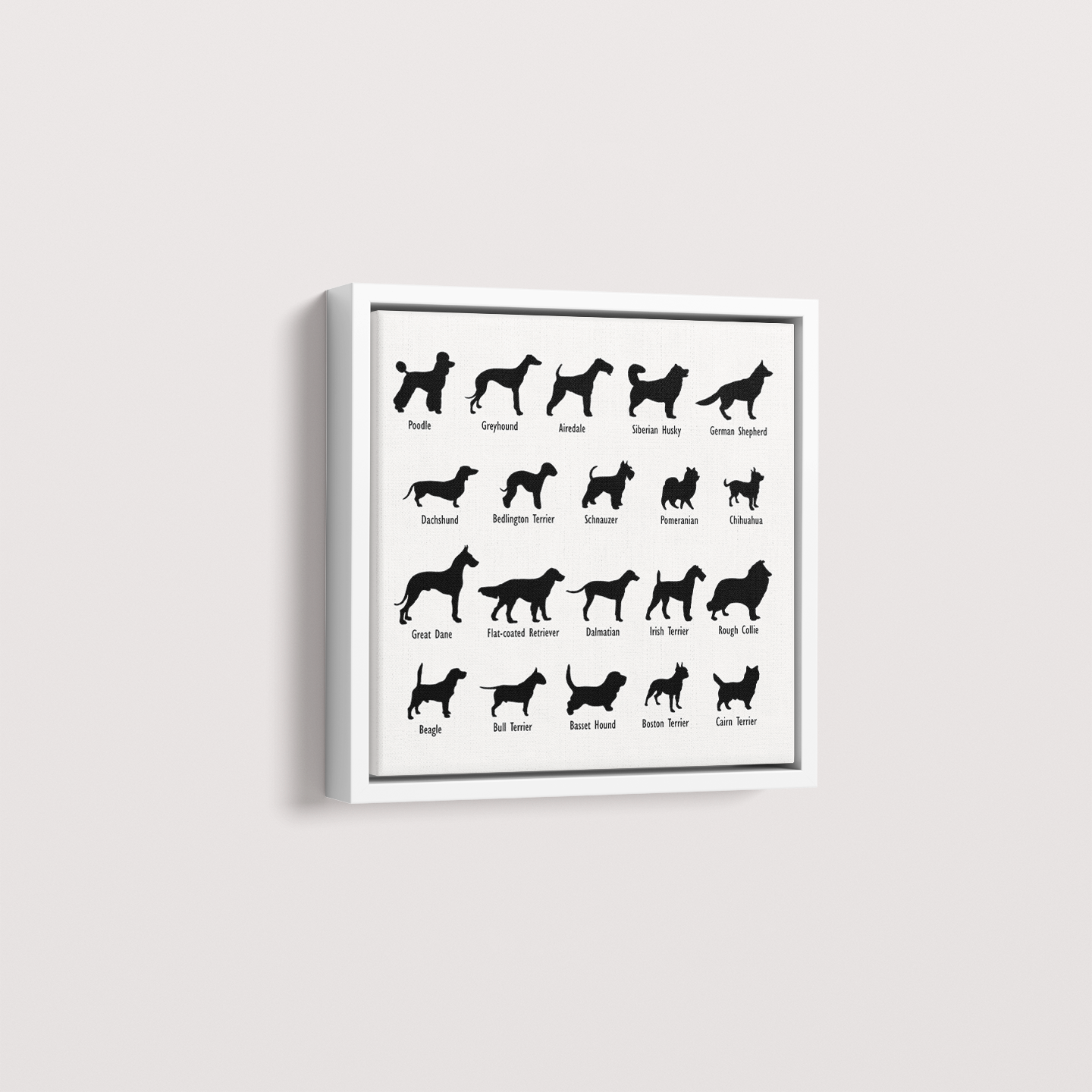 Dogs