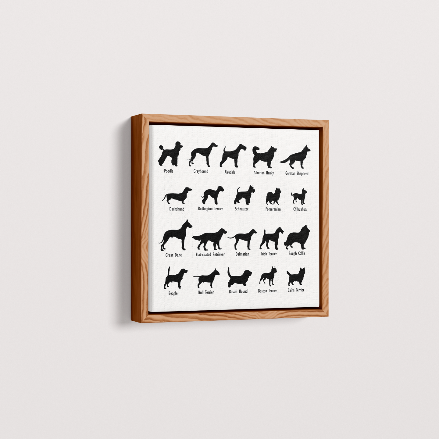 Dogs
