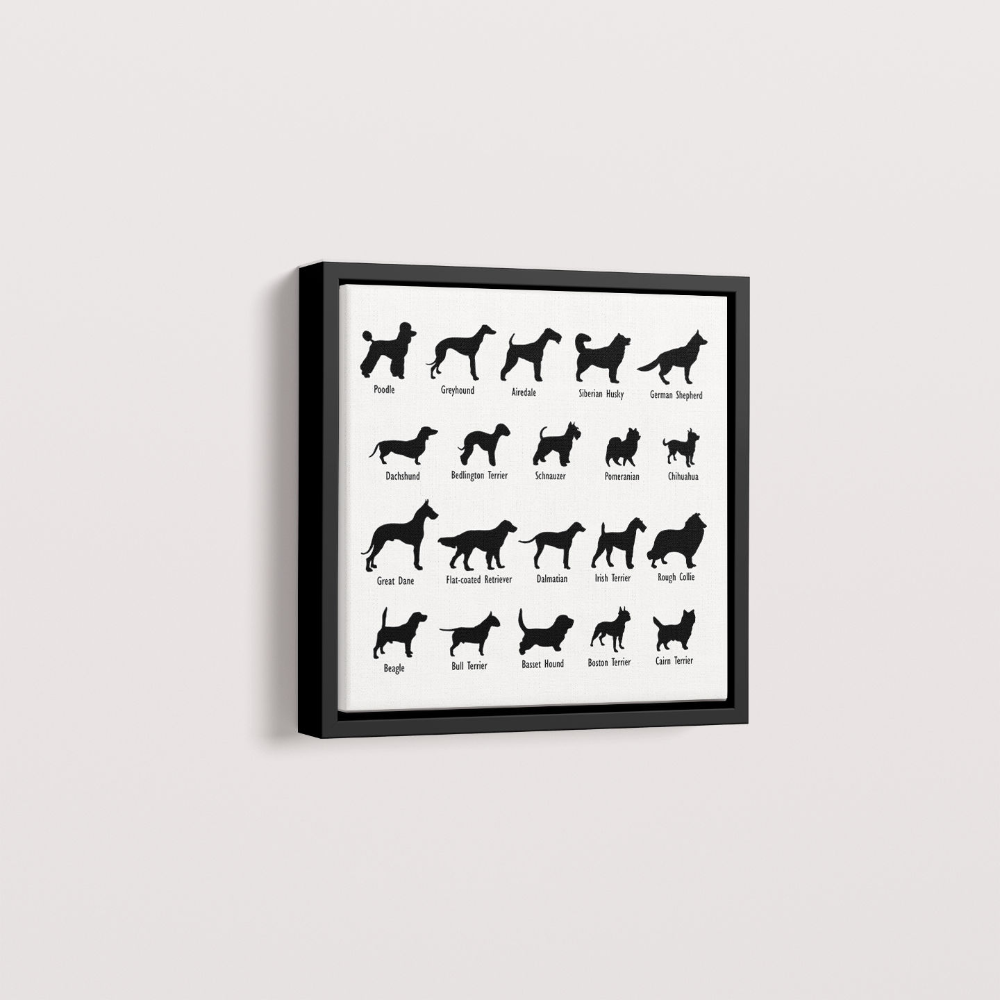 Dogs