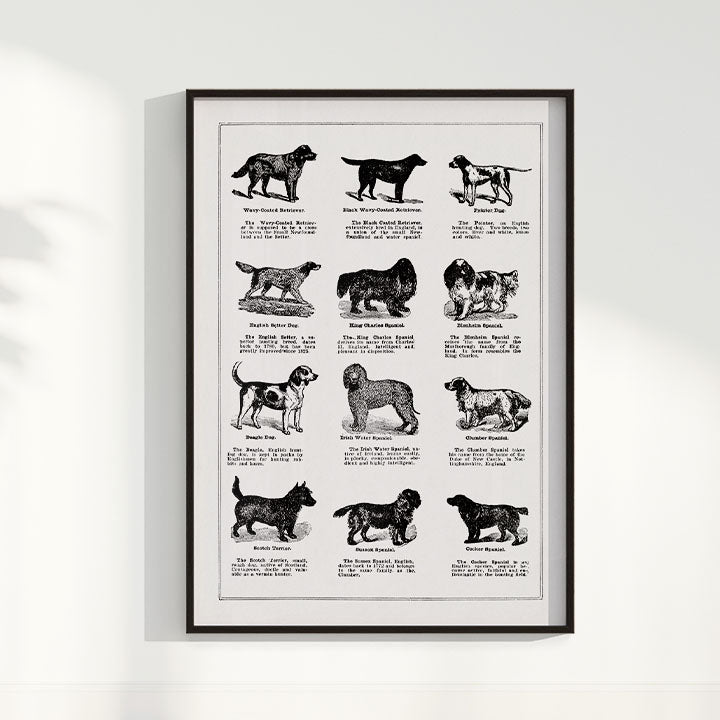 Quadro Vintage Dogs II