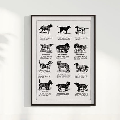 Quadro Vintage Dogs II