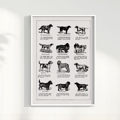 Quadro Vintage Dogs II