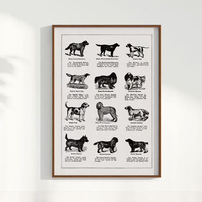 Quadro Vintage Dogs II