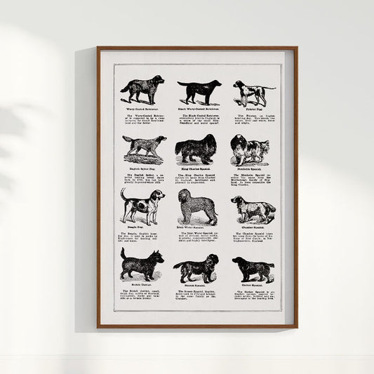 Quadro Vintage Dogs II