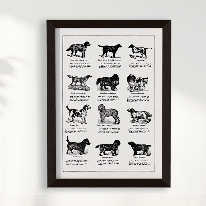 Quadro Vintage Dogs II