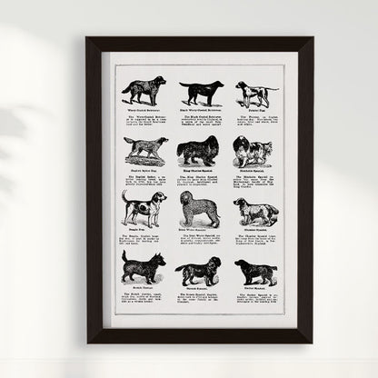 Quadro Vintage Dogs II
