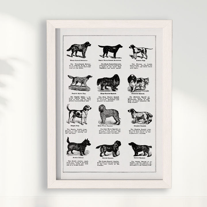 Quadro Vintage Dogs II