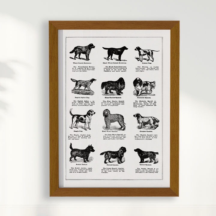 Quadro Vintage Dogs II