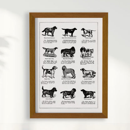 Quadro Vintage Dogs II