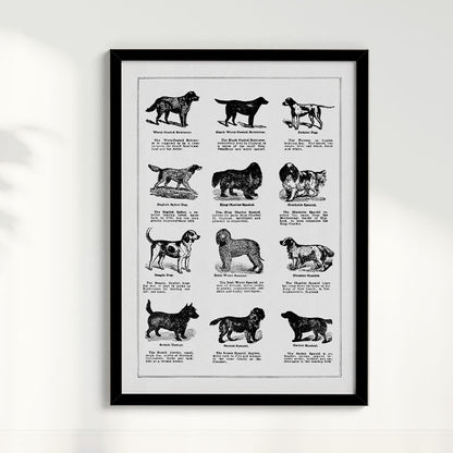 Quadro Vintage Dogs II