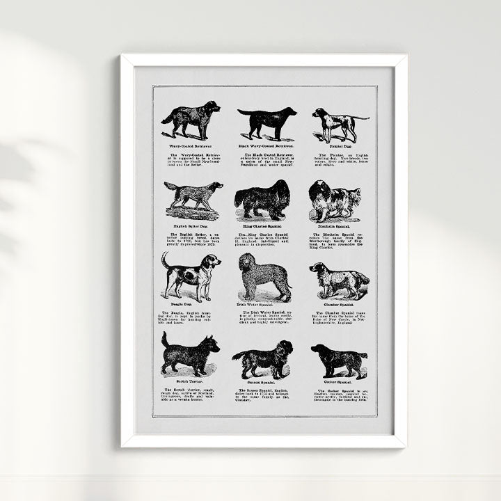 Quadro Vintage Dogs II