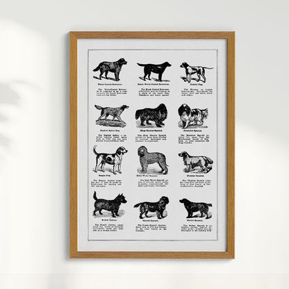 Quadro Vintage Dogs II