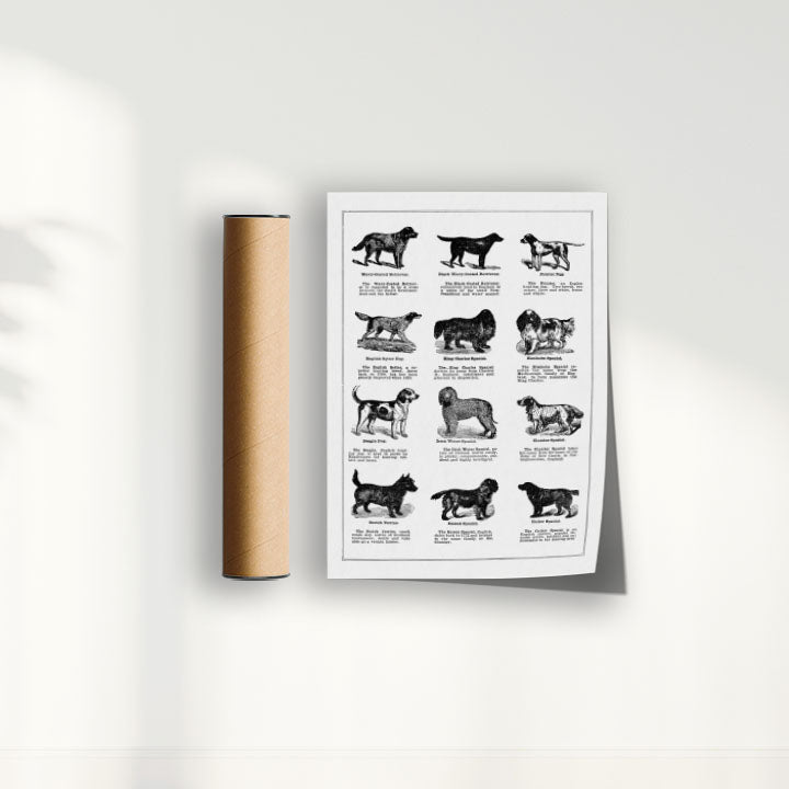 Quadro Vintage Dogs II