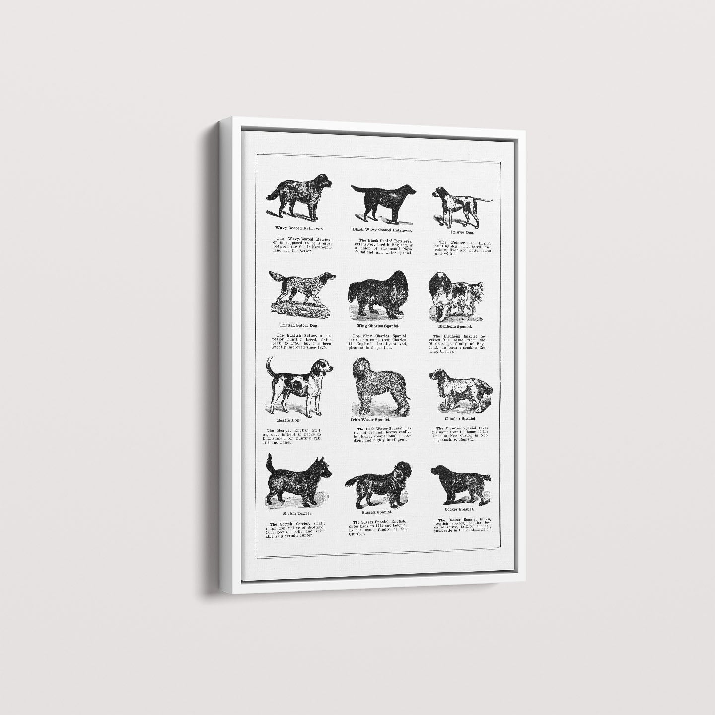Quadro Vintage Dogs II