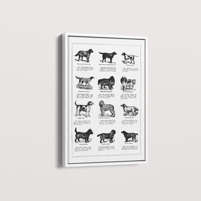 Quadro Vintage Dogs II