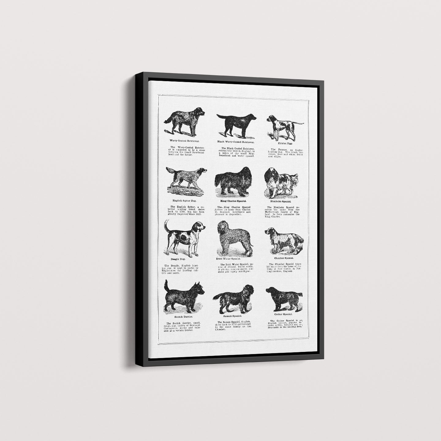 Quadro Vintage Dogs II