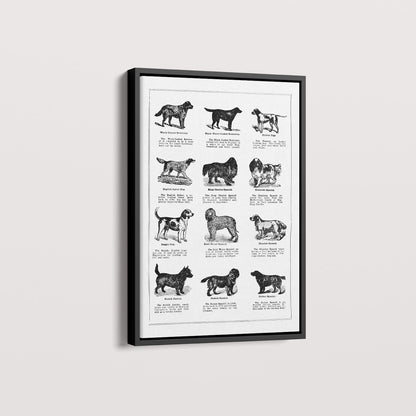 Quadro Vintage Dogs II