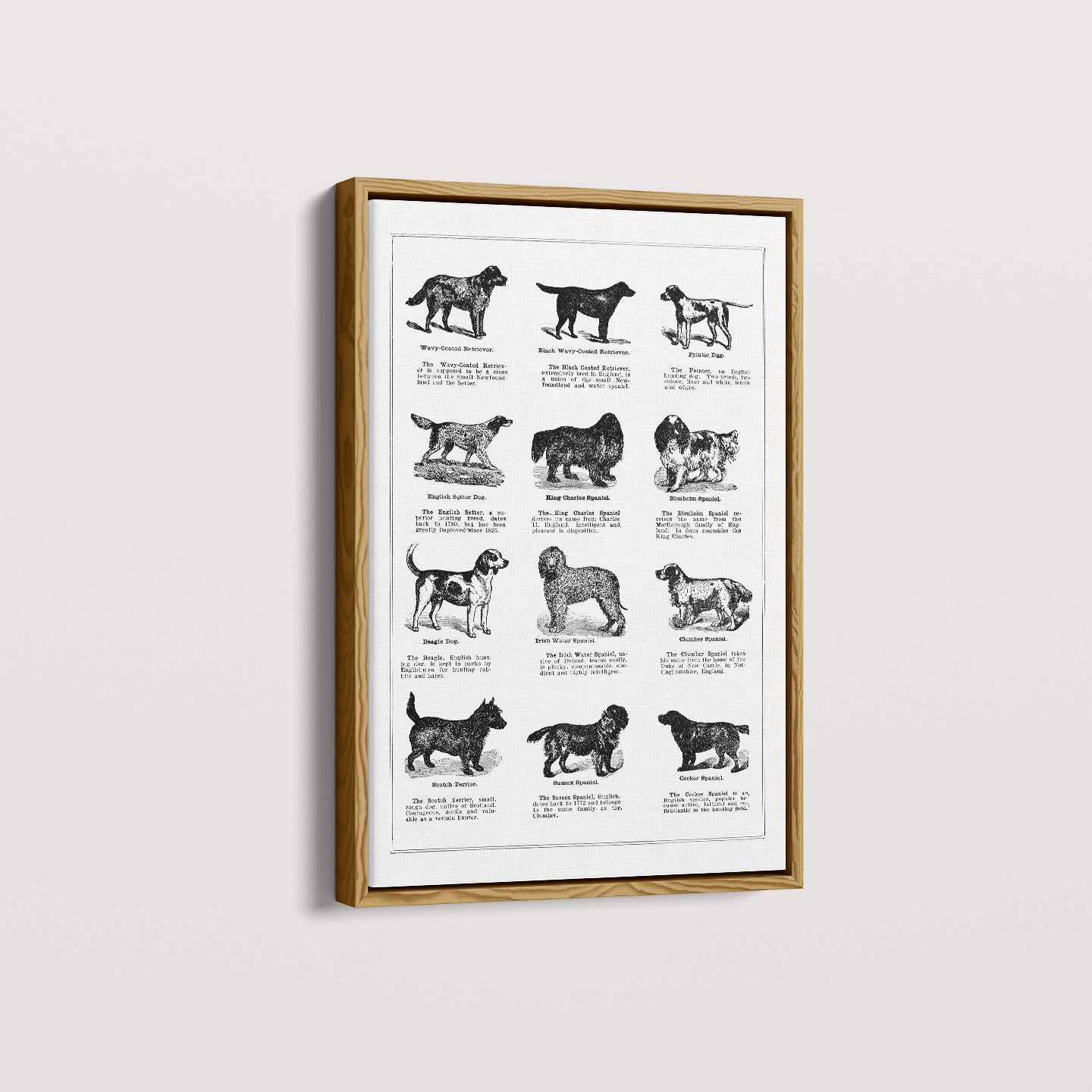 Quadro Vintage Dogs II