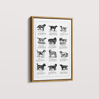 Quadro Vintage Dogs II